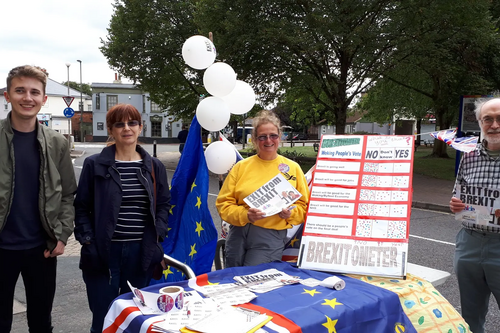 Byfleet Exit from Brexit Stall