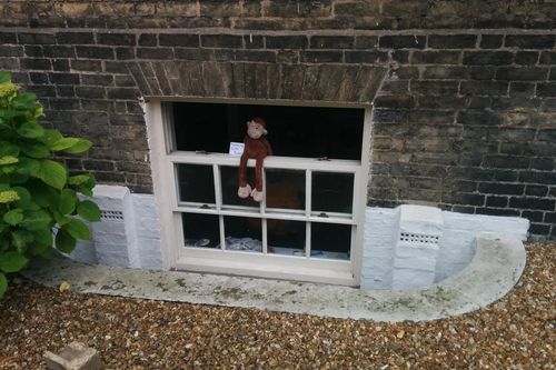 Monkey REMAIN - seen in Cambridge