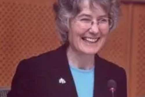 Fiona Hall, MEP, speaking in the European Parliament
