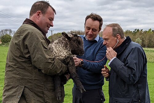 Danny and Ed with sheep