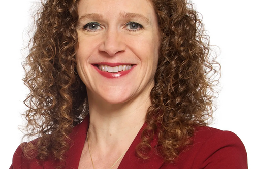 Sophie in 't Veld MEP in May 2014.