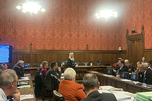 Roz Savage speaking to MPs at SolarQ event in Parliament