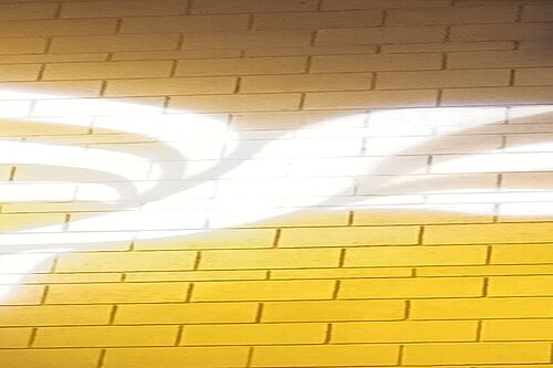 Lib Dem logo bird projected on blockwork