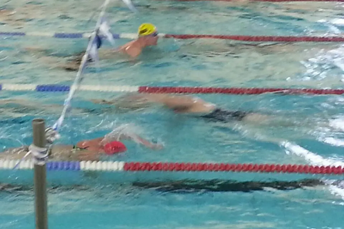 Chris Took at Swimathon 2015 (Yellow Cap, obviously)