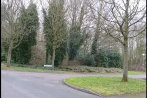 illor.org.uk/files/2017/04/The-Dell-300x225.jpg