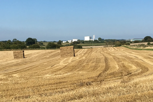 Harvest