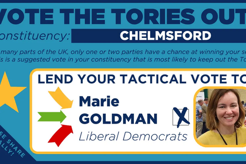 Tactical voting