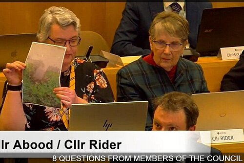 Cllr Sue Abood with photo at Full Council