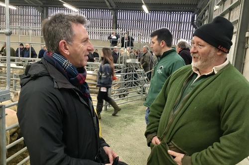 David Holsworthy market