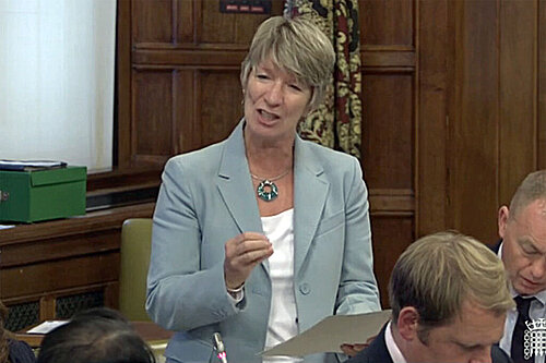 Pippa Heylings MP speakls in Westminster in support of Hong Kong BNO visa holders