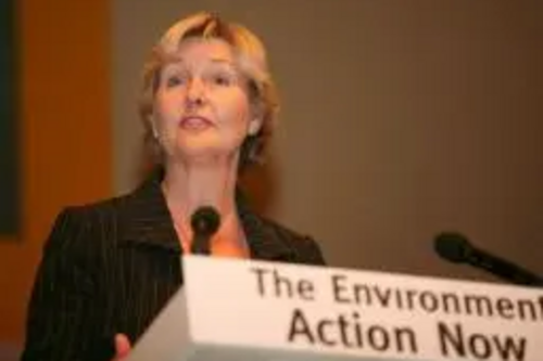 Terrye on Stage addressing the Liberal DEmocrat Autumn Conference