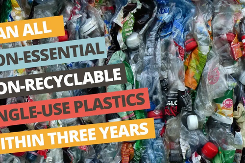 Ban Plastic Waste