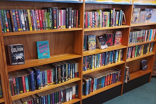 Library bookshelves (teen fiction)