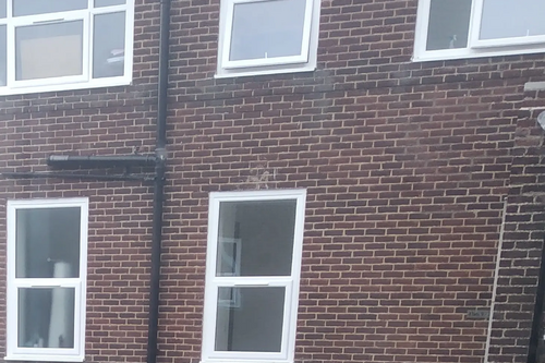 Council Housing