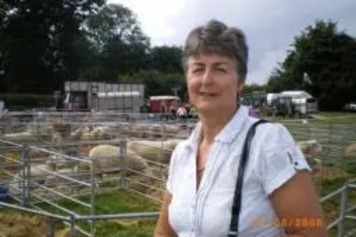 Heather Kidd Sheep