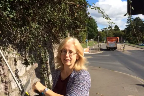 Ashburton RD Brambles Jackie B
