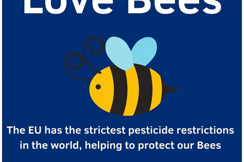 Bee poster