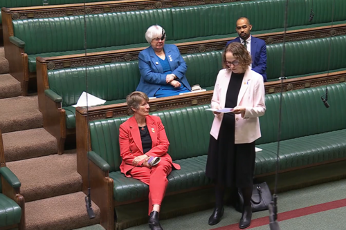 Alison in the House of Commons debate on hospices