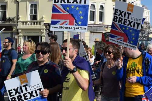 B&H Lib Dems at StopBrexit march