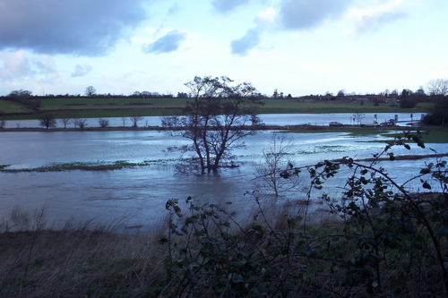 flood13214