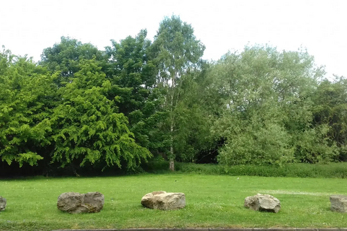 Lillieburn fencing