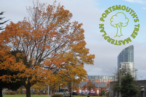 Portsmouth Trees