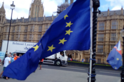 EU Brexit protest Parliament
