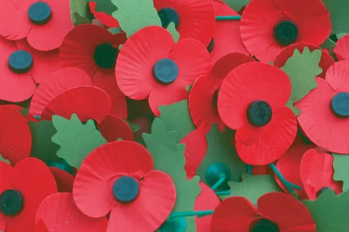 Poopy image (A group of lapel poppies)