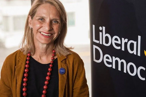 Campaign: Lib Dem MP Wera Hobhouse (Twitter)