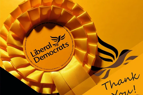 Lib Dem rossette