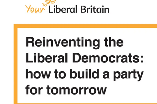 Reinventing the Liberal Democrats