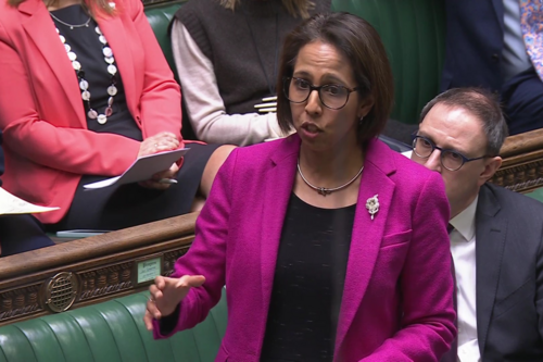 Munira Wilson speaking in the House of Commons