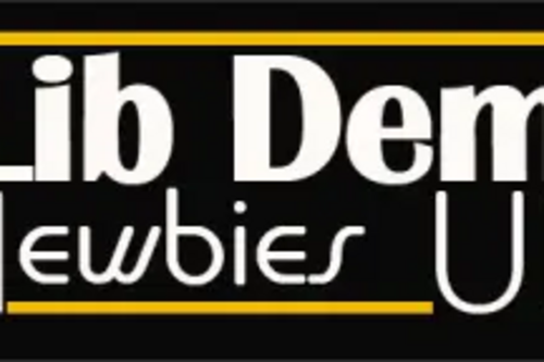 Lib Dem Newbies