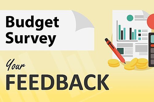 Budget survey graphic