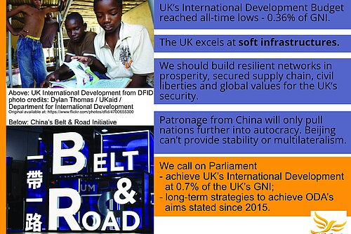 Long term strategy for UK International Development budget to counter China's threats