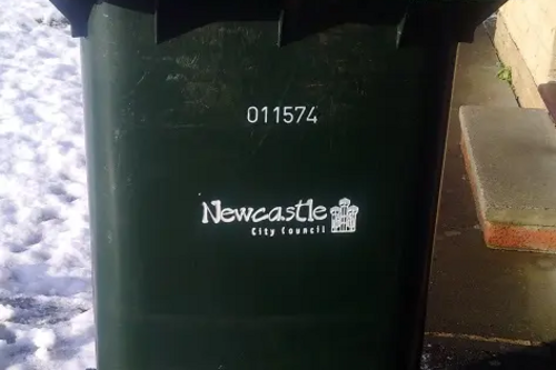 Snow bin