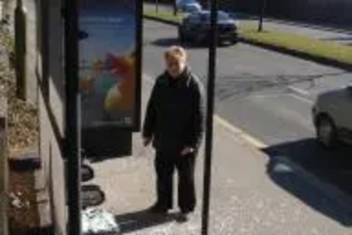 Phyllis Green concerned with high levels of vandalism